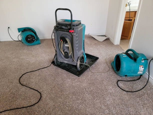 Best Flood damage cleanup  in Matta, WA