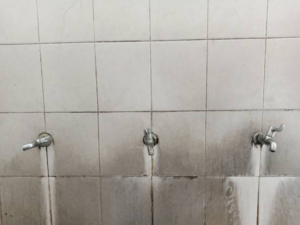 Best Professional water damage repair  in Matta, WA